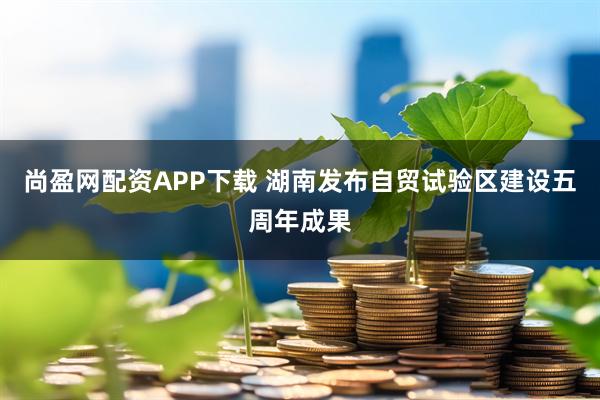 尚盈网配资APP下载 湖南发布自贸试验区建设五周年成果